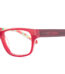 BUGSY 4093 C2