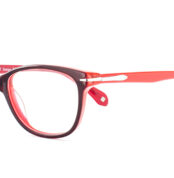 BUGSY 4096 C2