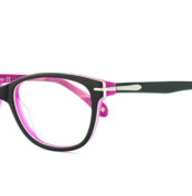 BUGSY 4096 C3